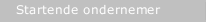 Startende ondernemer